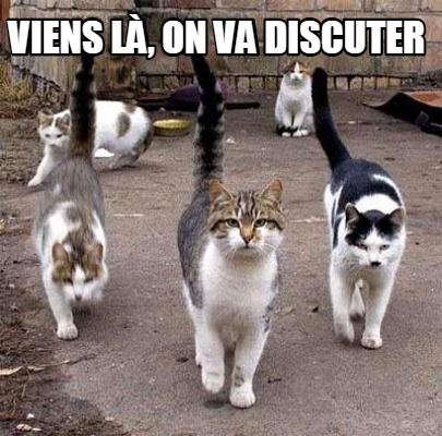 viens-l-on-va-discuter