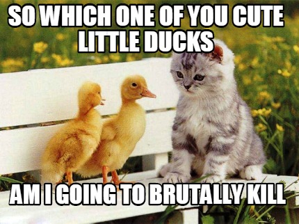 so-which-one-of-you-cute-little-ducks-am-i-going-to-brutally-kill