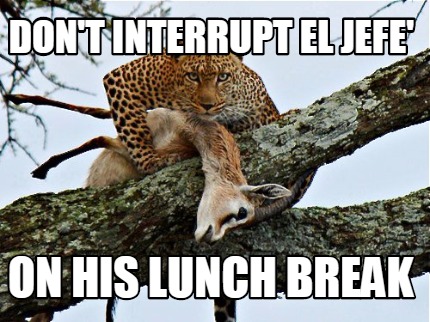 dont-interrupt-el-jefe-on-his-lunch-break
