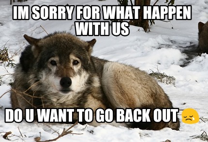 im-sorry-for-what-happen-with-us-do-u-want-to-go-back-out-