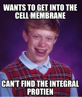 Meme Creator - Funny Wants to get into the cell membrane Can't find the