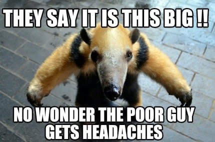 they-say-it-is-this-big-no-wonder-the-poor-guy-gets-headaches