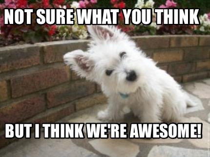 not-sure-what-you-think-but-i-think-were-awesome