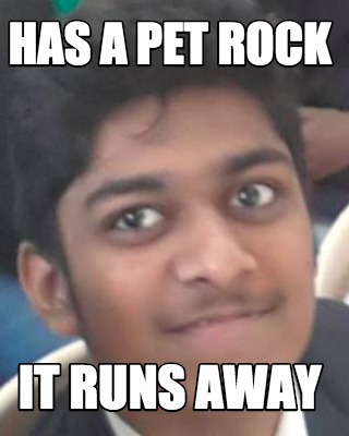 has-a-pet-rock-it-runs-away
