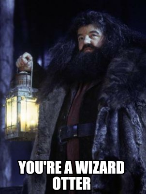 youre-a-wizard-otter