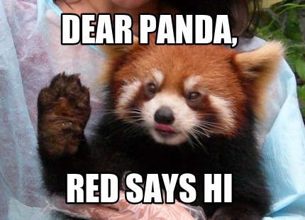 dear-panda-red-says-hi