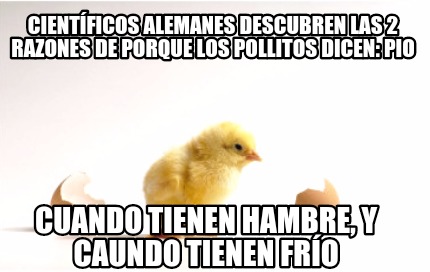 cientficos-alemanes-descubren-las-2-razones-de-porque-los-pollitos-dicen-pio-cua