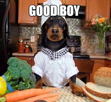 good-boy41