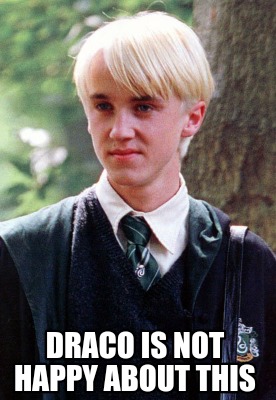 draco-is-not-happy-about-this