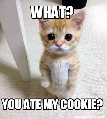 Meme Creator - Funny What? You ate my cookie? Meme Generator at ! Meme Creator - Funny What? You ate my cookie? Meme Generator at !