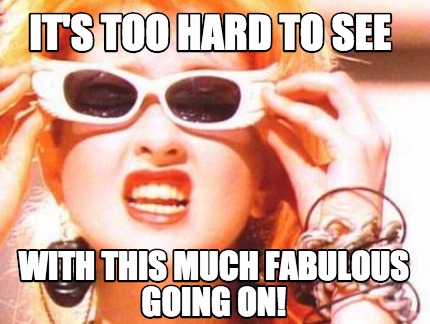 its-too-hard-to-see-with-this-much-fabulous-going-on9