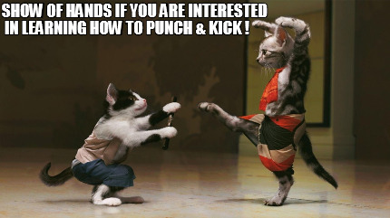 show-of-hands-if-you-are-interested-in-learning-how-to-punch-kick-
