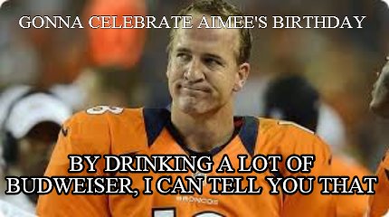 gonna-celebrate-aimees-birthday-by-drinking-a-lot-of-budweiser-i-can-tell-you-th