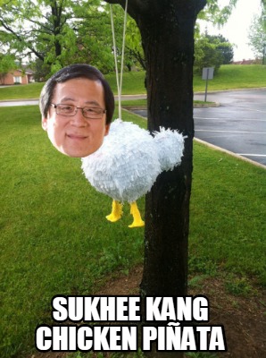 sukhee-kang-chicken-piata