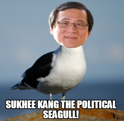 sukhee-kang-the-political-seagull