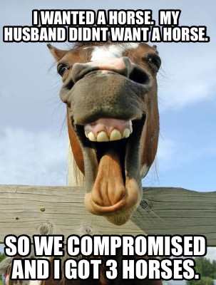 i-wanted-a-horse.-my-husband-didnt-want-a-horse.-so-we-compromised-and-i-got-3-h