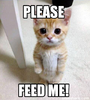 Me please feed Feed Me