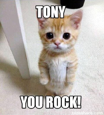 Meme Creator - Funny Tony You Rock! Meme Generator at !