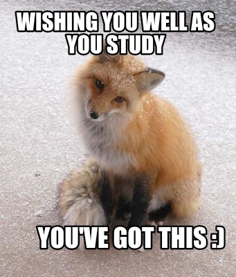 wishing-you-well-as-you-study-youve-got-this-