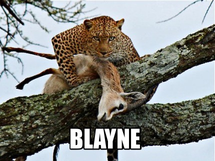 blayne