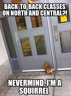 back-to-back-classes-on-north-and-central-nevermind-im-a-squirrel