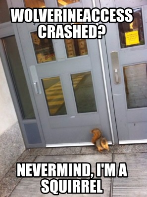 wolverineaccess-crashed-nevermind-im-a-squirrel