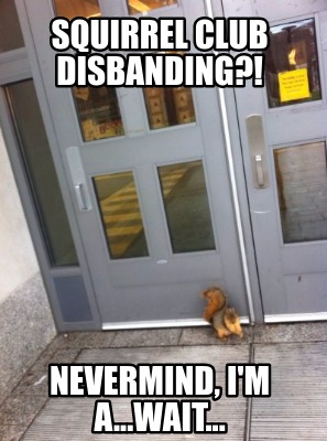 squirrel-club-disbanding-nevermind-im-a...wait