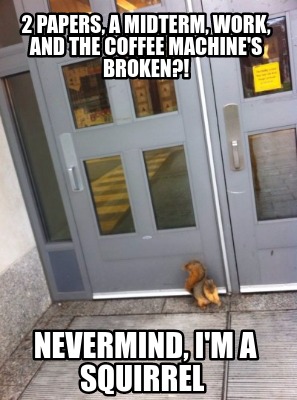 2-papers-a-midterm-work-and-the-coffee-machines-broken-nevermind-im-a-squirrel