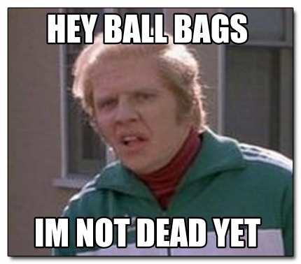 hey-ball-bags-im-not-dead-yet