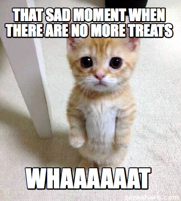 Meme Creator - Funny that sad moment when there are no more treats ...