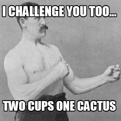 i-challenge-you-too...-two-cups-one-cactus