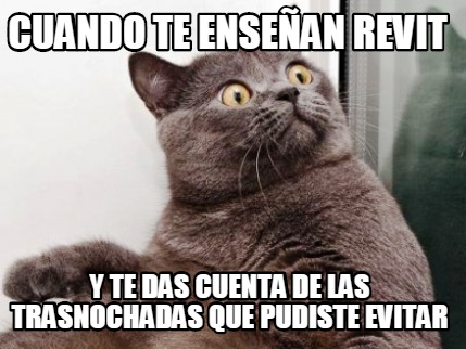 cuando-te-ensean-revit-y-te-das-cuenta-de-las-trasnochadas-que-pudiste-evitar