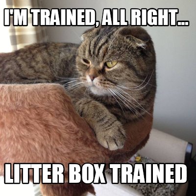 im-trained-all-right...-litter-box-trained