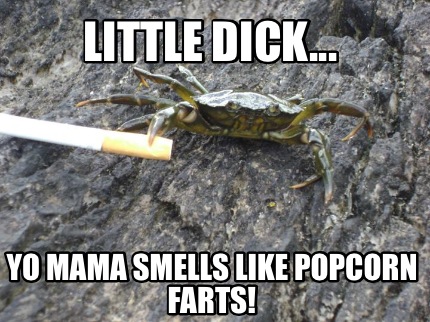 little-dick...-yo-mama-smells-like-popcorn-farts