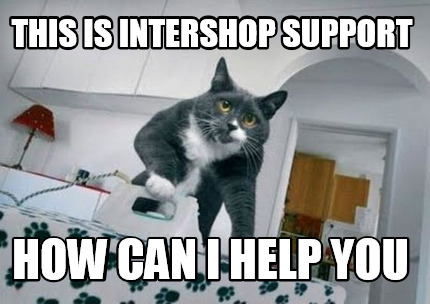 this-is-intershop-support-how-can-i-help-you
