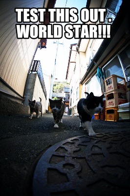 test-this-out-.-world-star