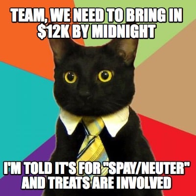 team-we-need-to-bring-in-12k-by-midnight-im-told-its-for-spayneuter-and-treats-a