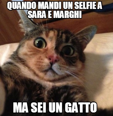 quando-mandi-un-selfie-a-sara-e-marghi-ma-sei-un-gatto