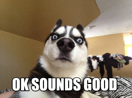 sounddog meme sounddog meme