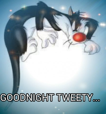 goodnight-tweety9