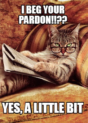 i-beg-your-pardon-yes-a-little-bit