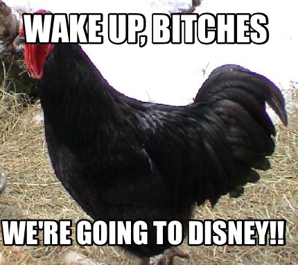 wake-up-bitches-were-going-to-disney