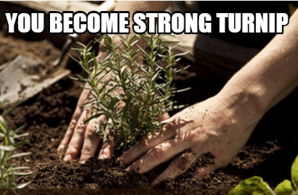 you-become-strong-turnip