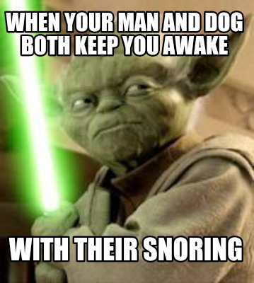 Meme Creator - Funny When your man and dog both keep you awake with their snoring  Meme Generator at !