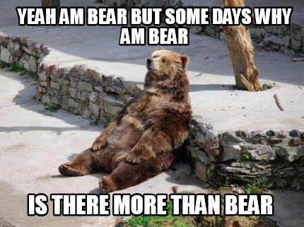 yeah-am-bear-but-some-days-why-am-bear-is-there-more-than-bear9