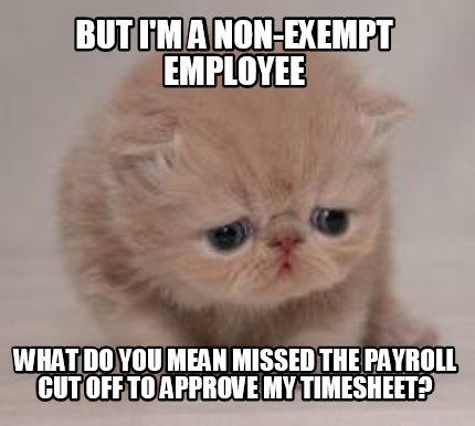 but-im-a-non-exempt-employee-what-do-you-mean-missed-the-payroll-cut-off-to-appr