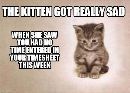 the-kitten-got-really-sad-when-she-saw-you-had-no-time-entered-in-your-timesheet