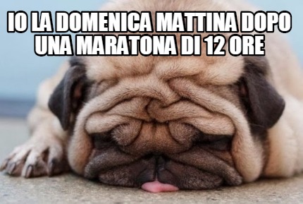 io-la-domenica-mattina-dopo-una-maratona-di-12-ore