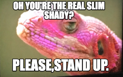 oh-youre-the-real-slim-shady-pleasestand-up