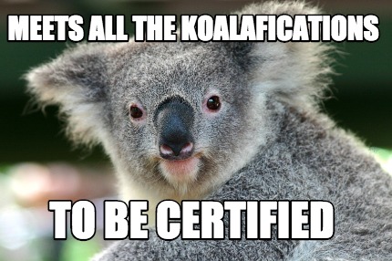 meets-all-the-koalafications-to-be-certified